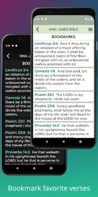 King James Bible android App screenshot 6