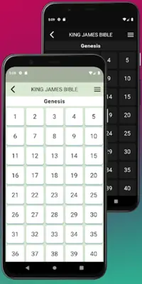 King James Bible android App screenshot 8